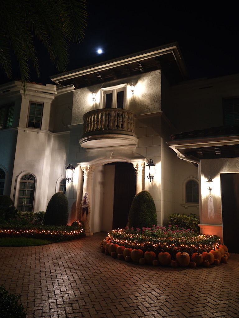 Thanksgiving Harvest